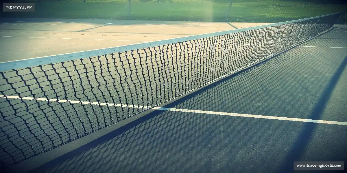 ng体育网页版——跑鞋亲吻大地，梦想触摸云端。✨ 🌠